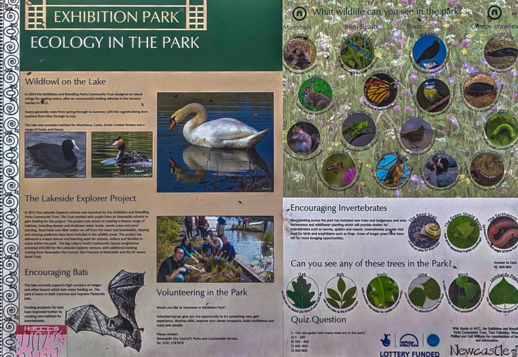 Exhibition Park Ecology in the Park
